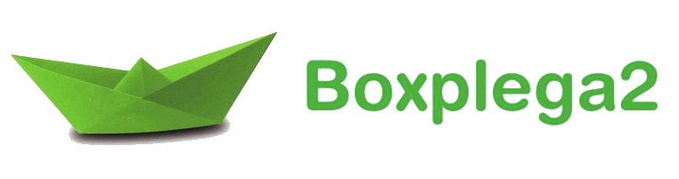 Diseño web Boxplega2