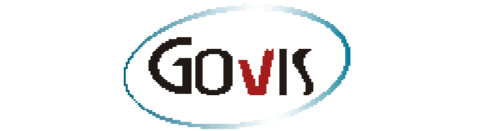 Diseño web Govis