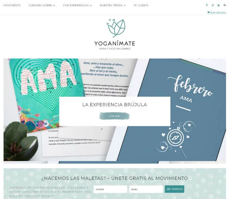 Diseño web Desarrollo a medida