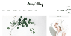 Trends in minimalist web design